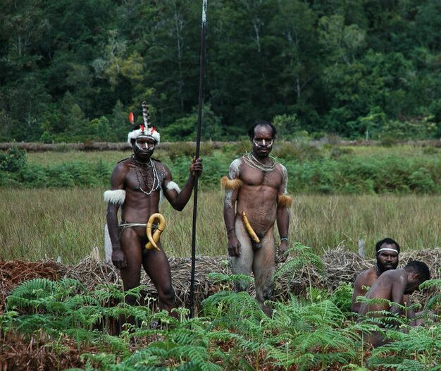 mga aborigine nga adunay gipadako nga mga miyembro